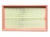 空氣濾清器 Air Filter:12227910402