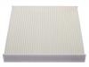 空調(diào)濾清器 Cabin Air Filter:500042992